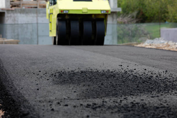 Best Residential Paver Driveway  in Troy, TX